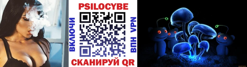Псилоцибиновые грибы Psilocybe  Киреевск 